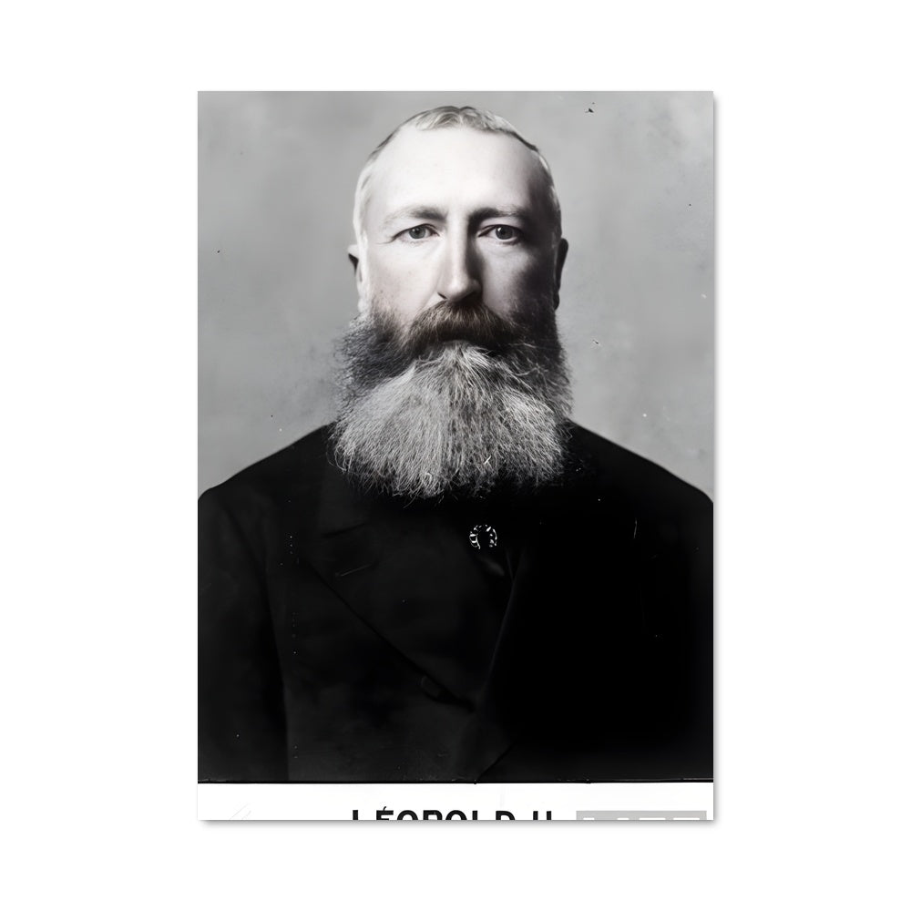 Poster Barbe de l'Histoire