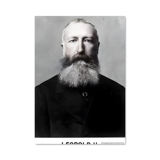 Poster Barbe de l'Histoire