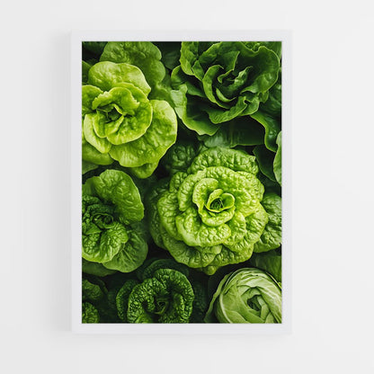 ap-lettuce-1 cadre Blanc