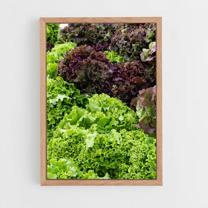 ap-lettuce-2 cadre Bois clair