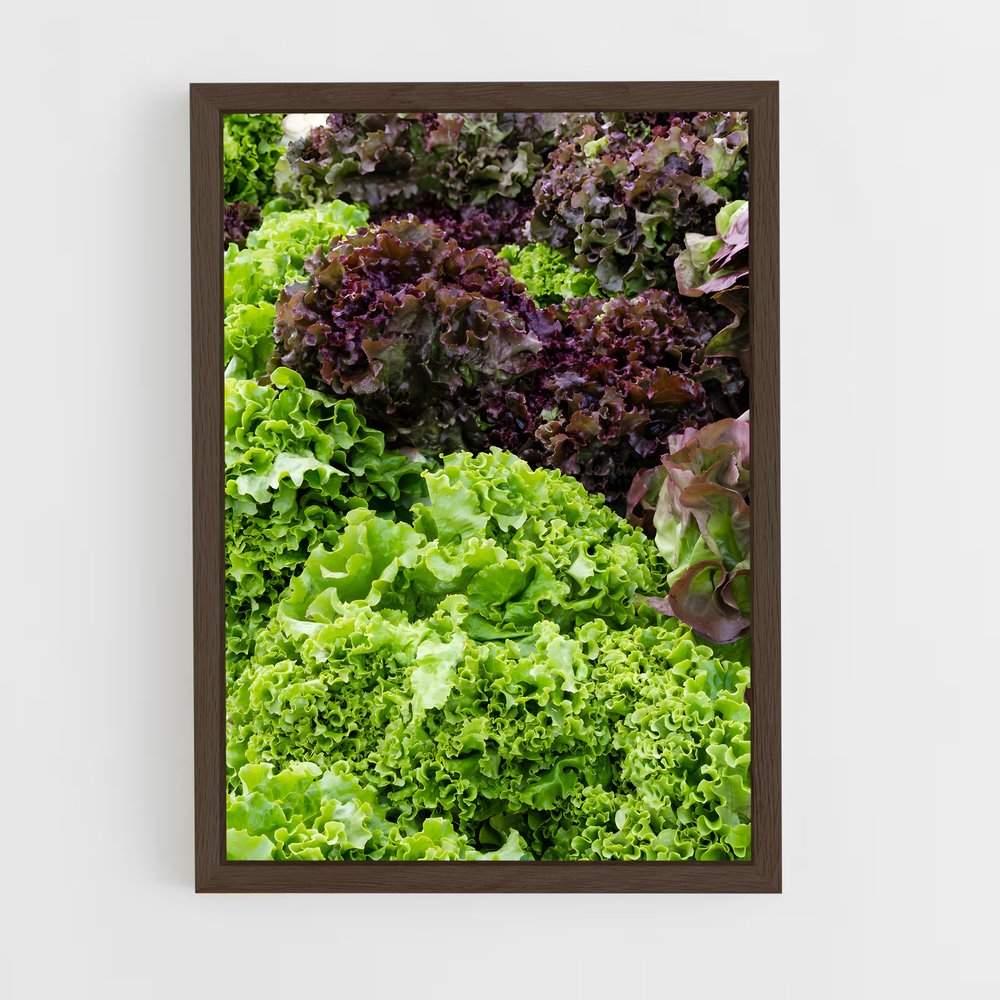 ap-lettuce-2 cadre Bois foncé