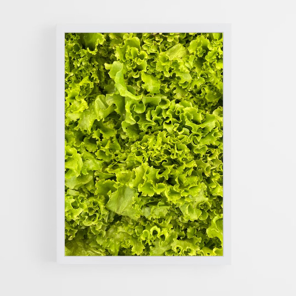 ap-lettuce-5 cadre Blanc