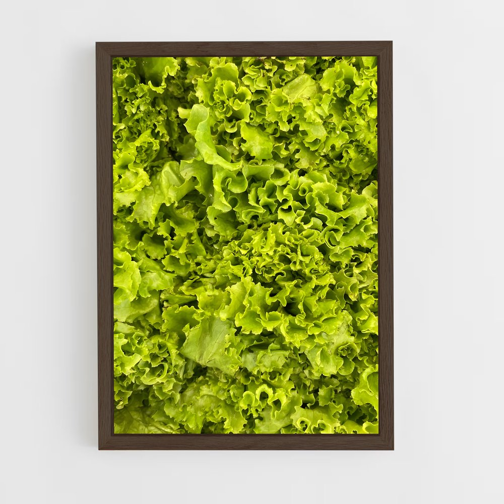 ap-lettuce-5 cadre Bois foncé