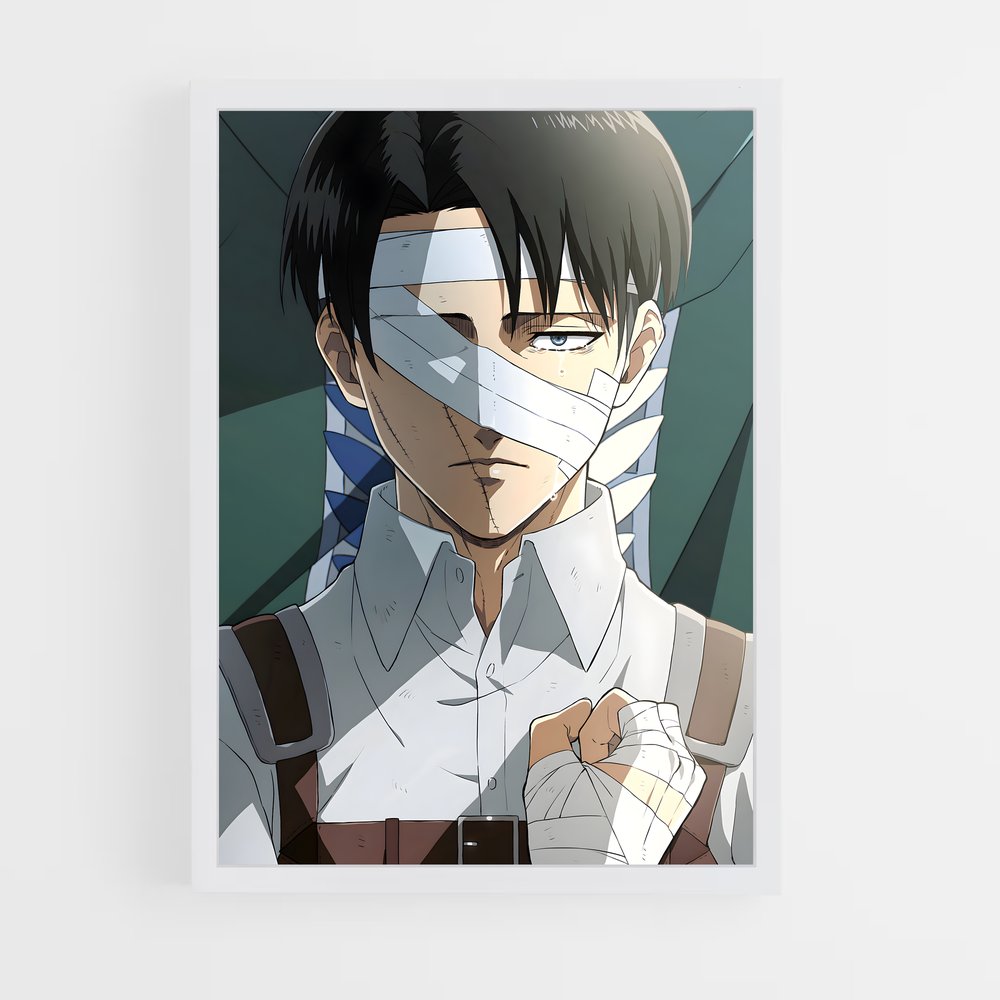 ap-levi ackerman-5 cadre Blanc