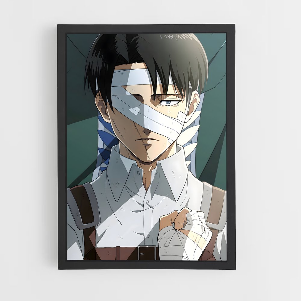 ap-levi ackerman-5 cadre Noir