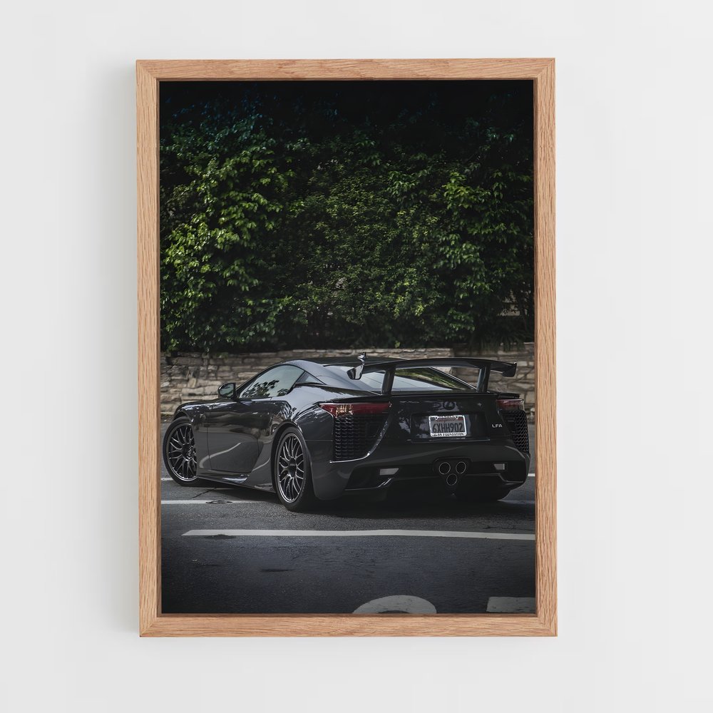 ap-lfa nurburgring edition-2 cadre Bois clair