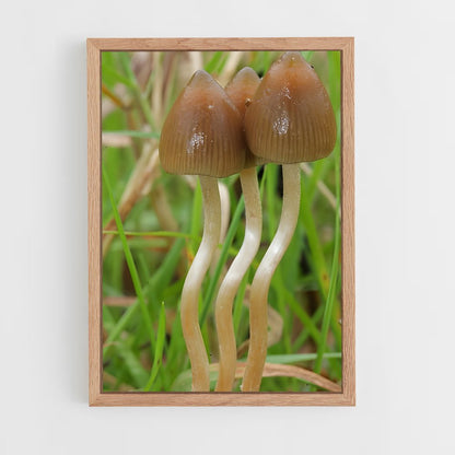 ap-liberty cap-1 cadre Bois clair