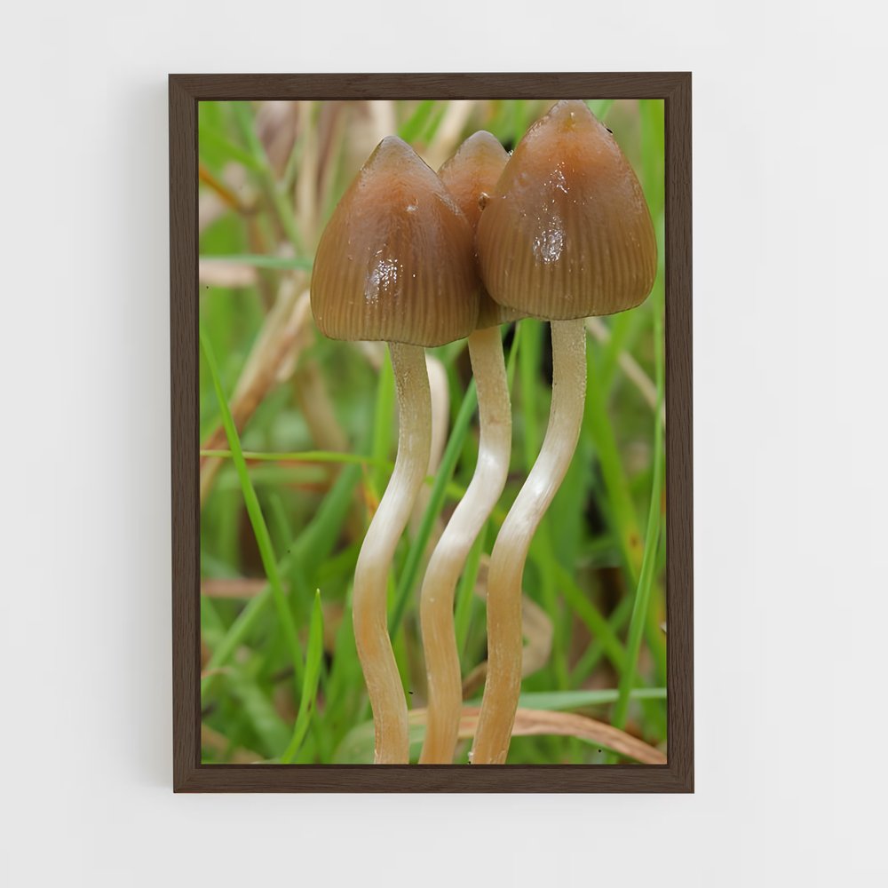 ap-liberty cap-1 cadre Bois foncé
