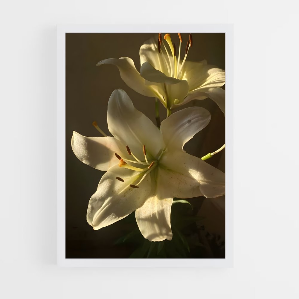 ap-lily-7 cadre Blanc