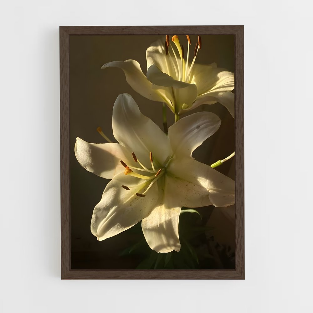 ap-lily-7 cadre Bois foncé