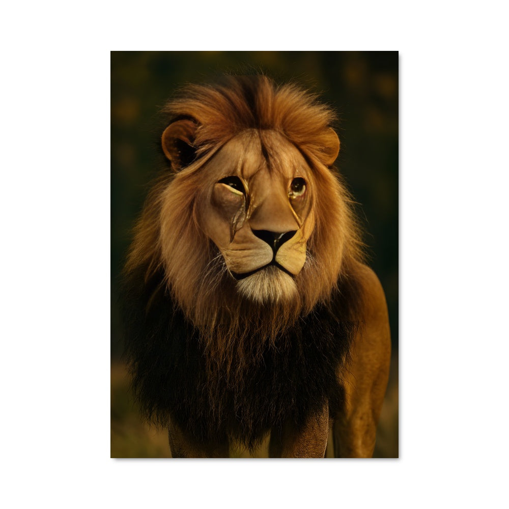 Poster Lion 83911