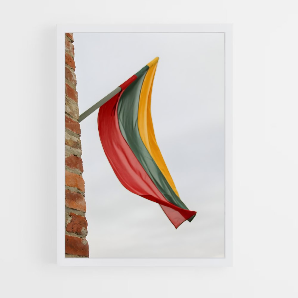 ap-lithuania flag-3 cadre Blanc