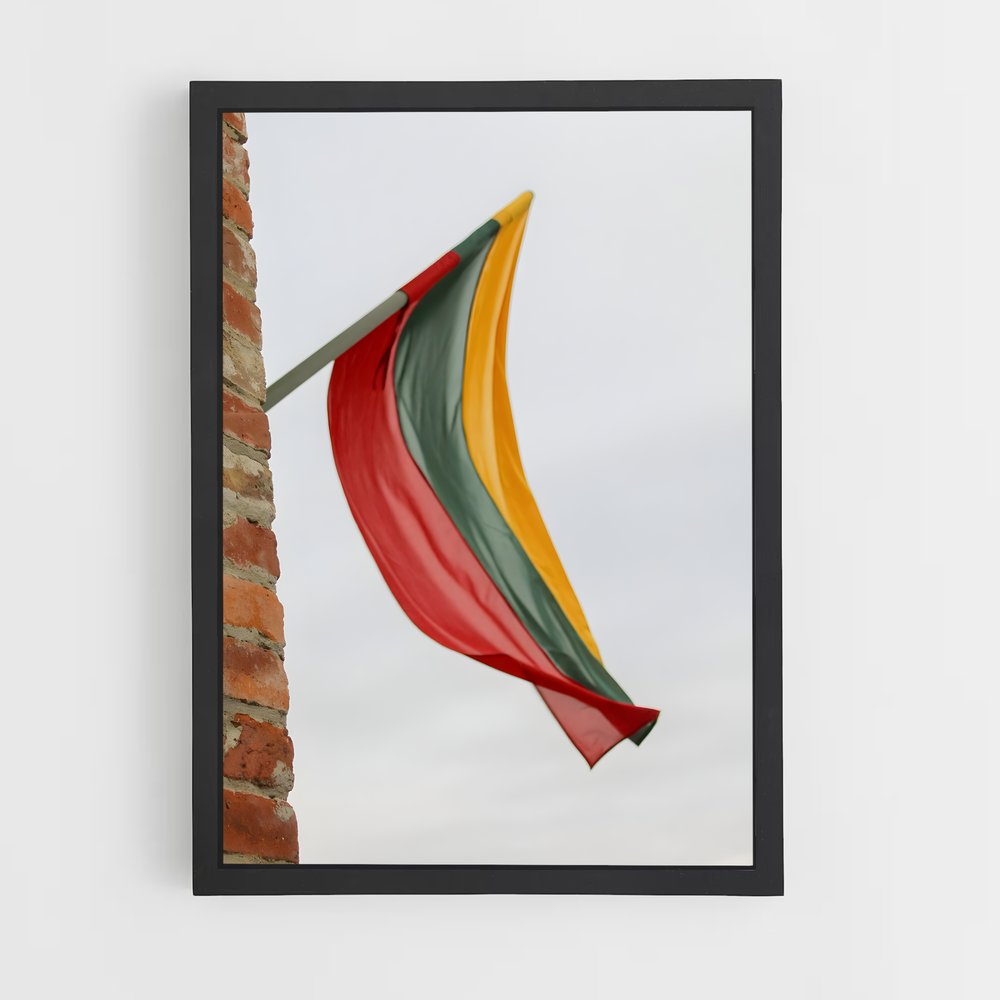 ap-lithuania flag-3 cadre Noir