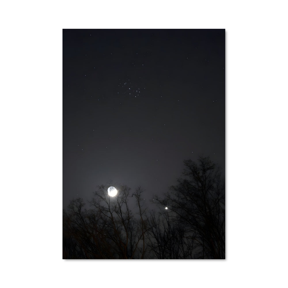 Poster Little dipper 97267