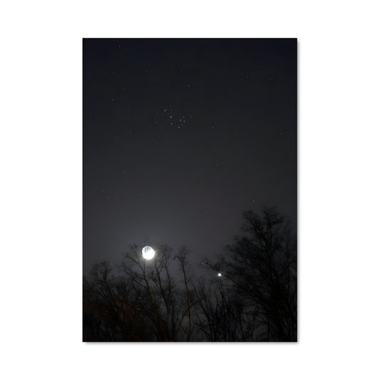 Poster Little dipper 97267