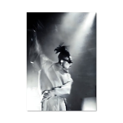 Poster Little simz 53982