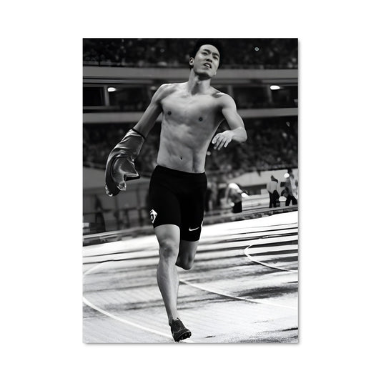 Poster Liu xiang 64345