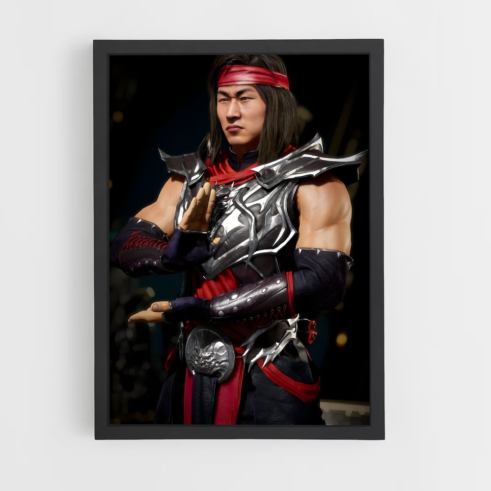 ap-liu kang-2 cadre Noir