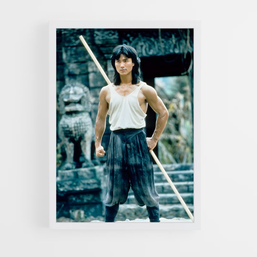 ap-liu kang-6 cadre Blanc