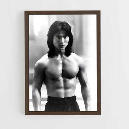 ap-liu kang-7 cadre Bois foncé