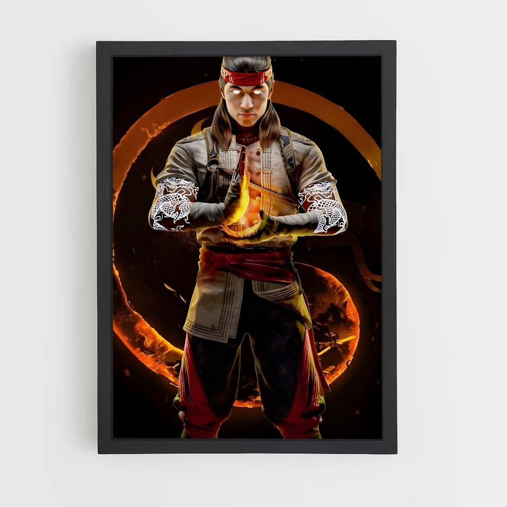 ap-liu kang-8 cadre Noir