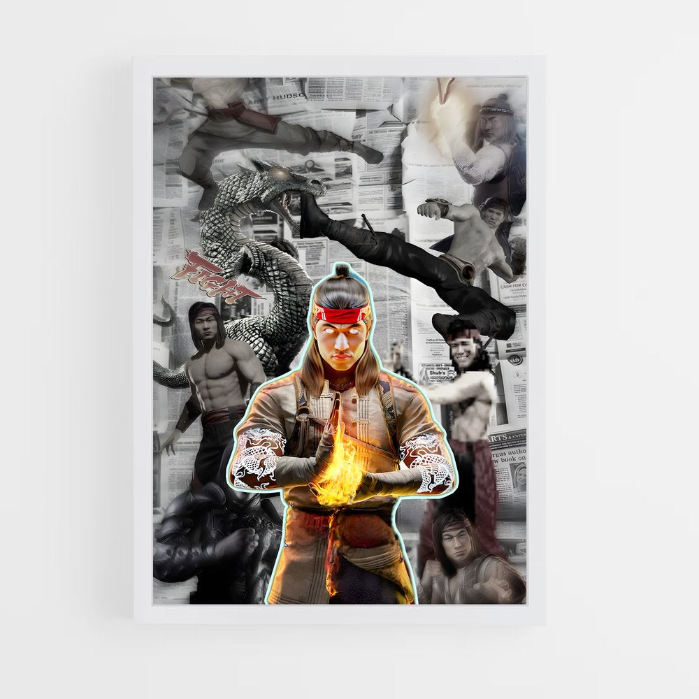 ap-liu kang-9 cadre Blanc