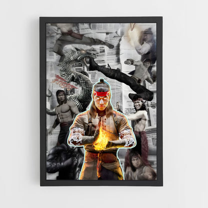 ap-liu kang-9 cadre Noir