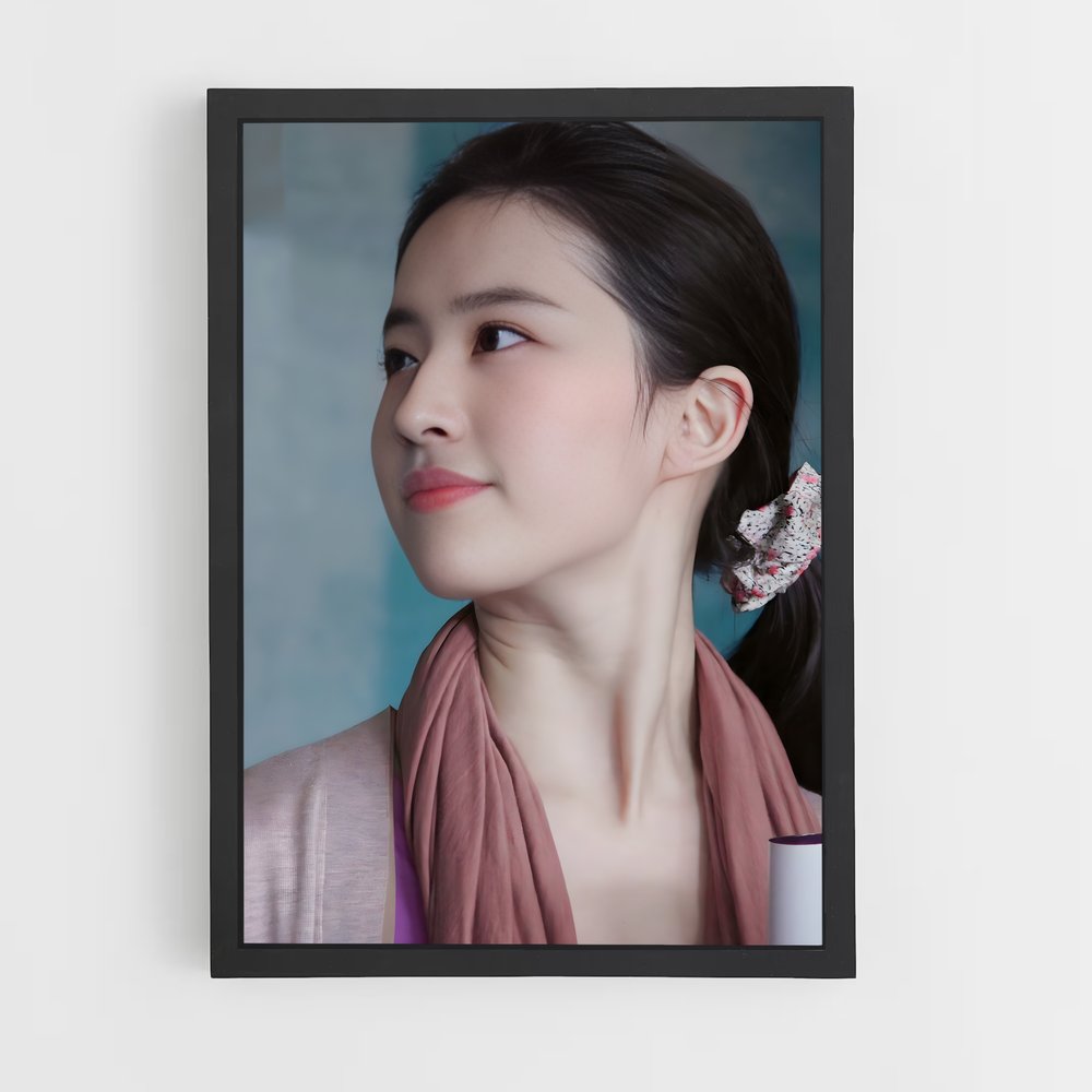 ap-liu yifei-7 cadre Noir