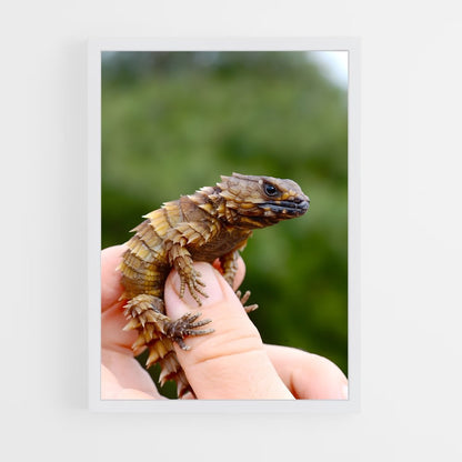 ap-lizard-3 cadre Blanc