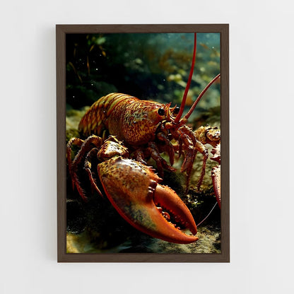 ap-lobster-2 cadre Bois foncé
