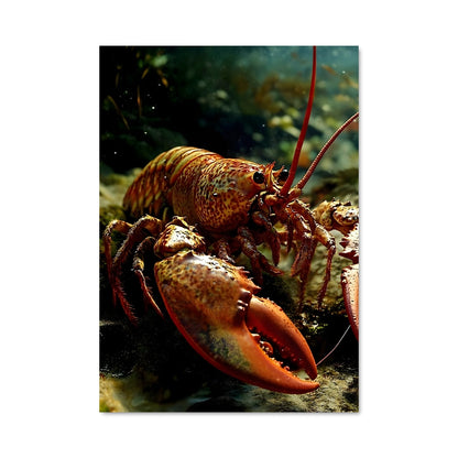 Poster Le Homard Étonnant