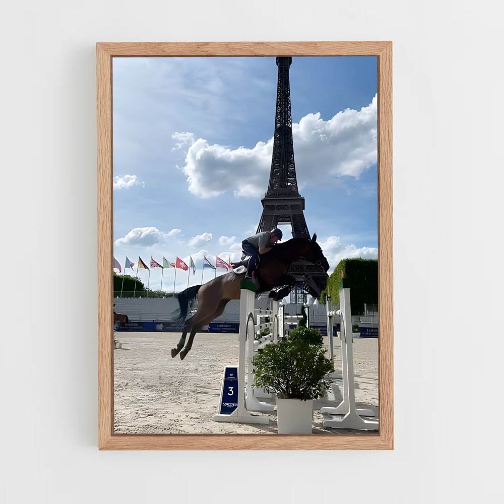 ap-longines global champions tour-7 cadre Bois clair