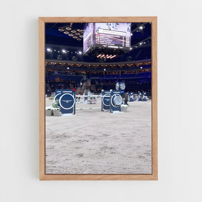 ap-longines global champions tour-9 cadre Bois clair