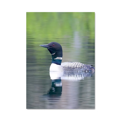 Poster Miroir Aquatique