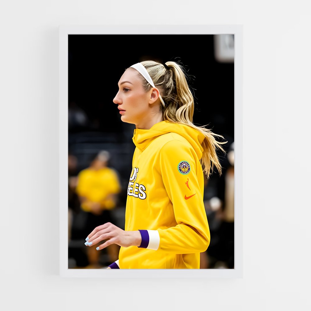 ap-los angeles sparks-2 cadre Blanc