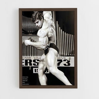 ap-lou ferrigno-1 cadre Bois foncé