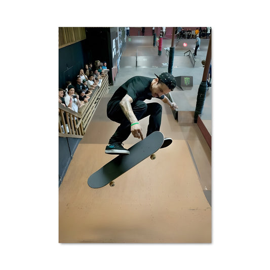 Poster Trickster en Mouvement