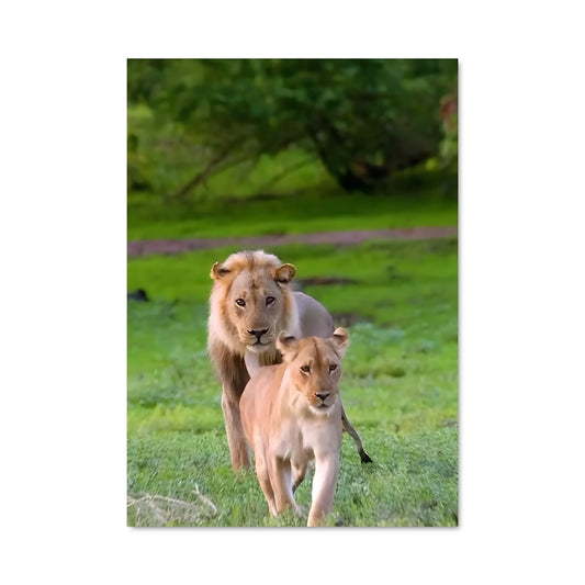 Poster La Ruée Sauvage