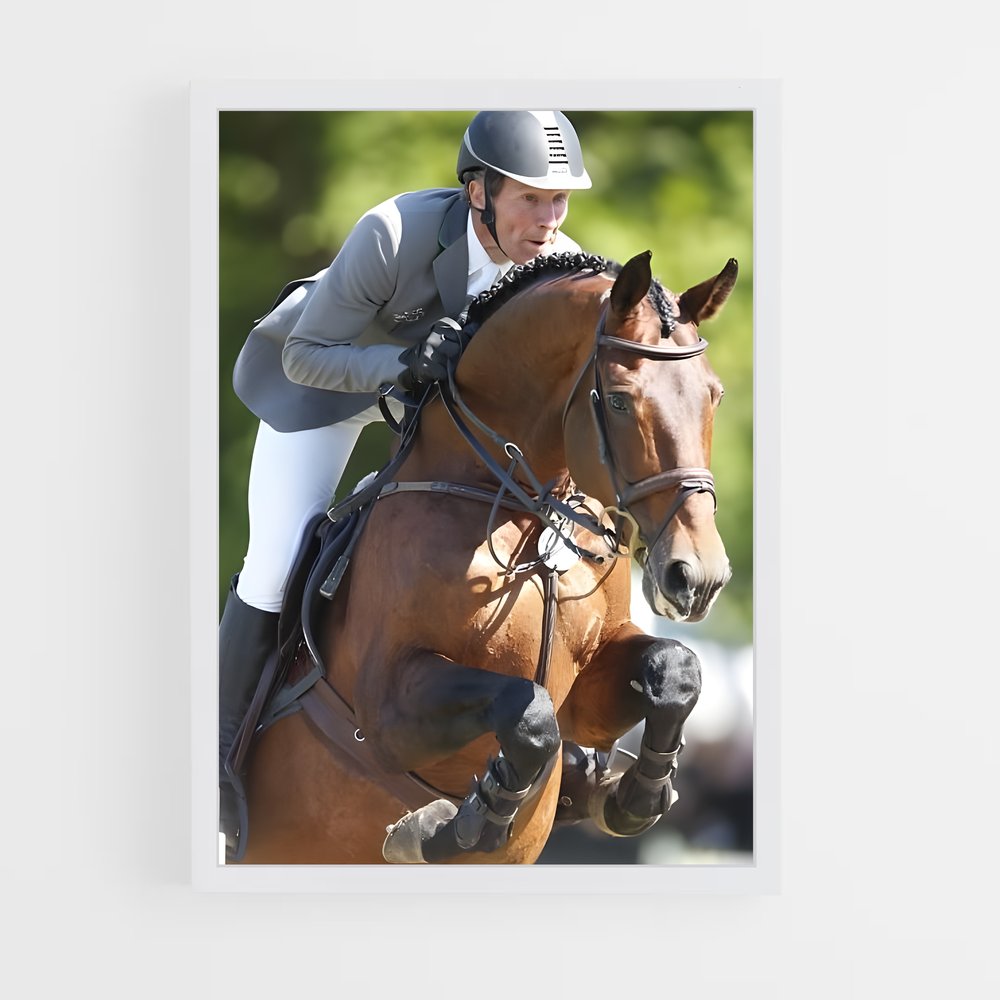ap-ludger beerbaum-2 cadre Blanc