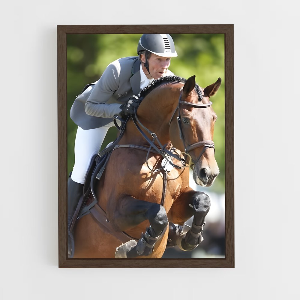 ap-ludger beerbaum-2 cadre Bois foncé