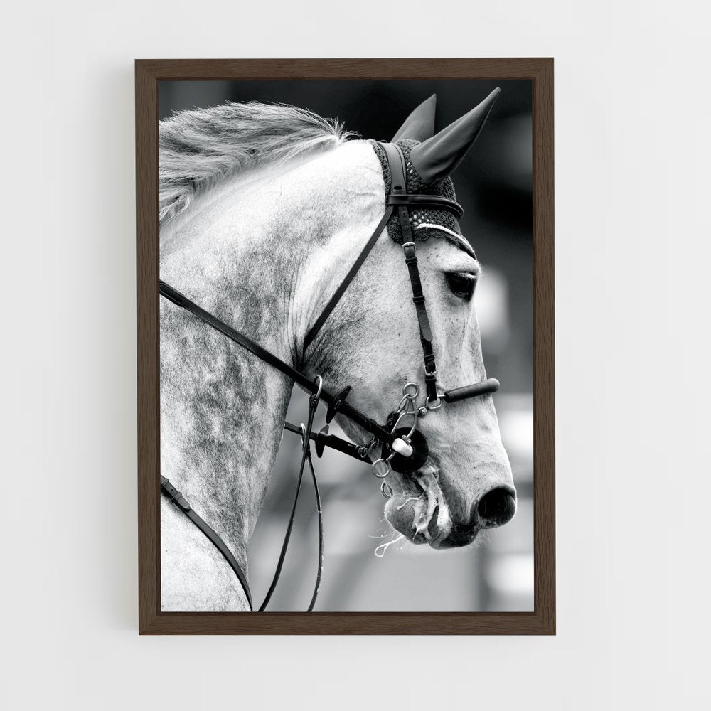 ap-ludger beerbaum-5 cadre Bois foncé