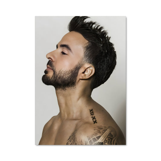 Poster Luis fonsi 51873