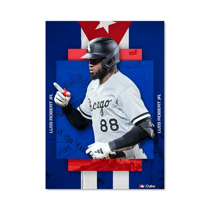 Poster Luis robert 58278