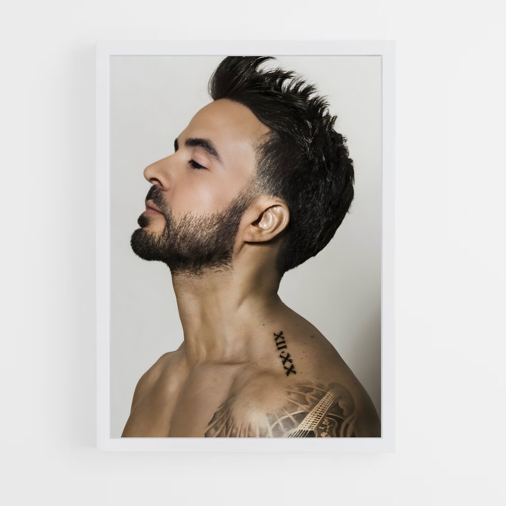 ap-luis fonsi-4 cadre Blanc