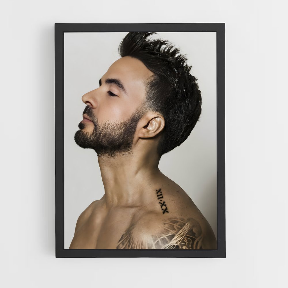 ap-luis fonsi-4 cadre Noir