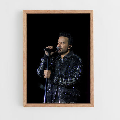 ap-luis fonsi-8 cadre Bois clair