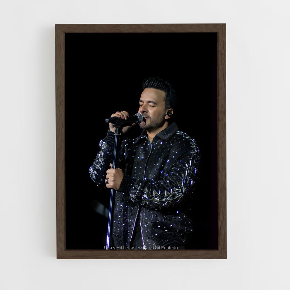 ap-luis fonsi-8 cadre Bois foncé