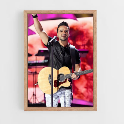 ap-luis fonsi-9 cadre Bois clair