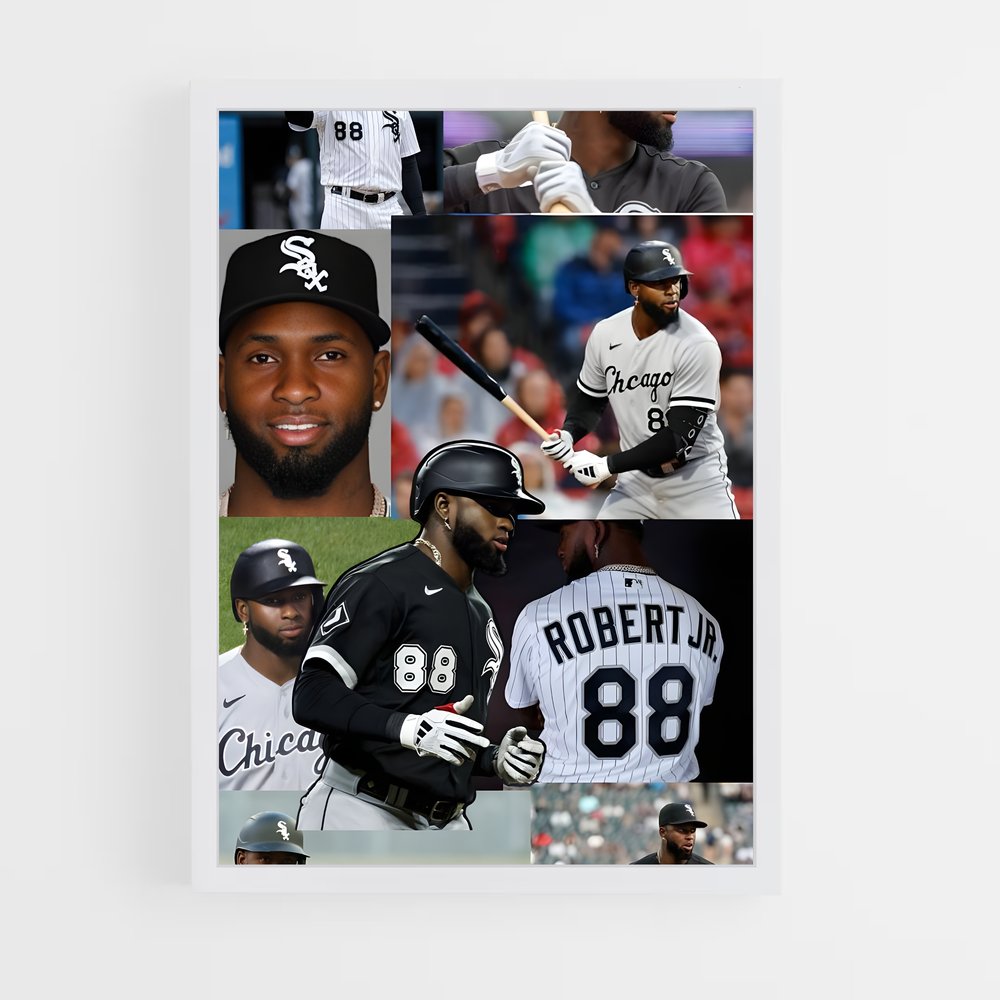 ap-luis robert-1 cadre Blanc