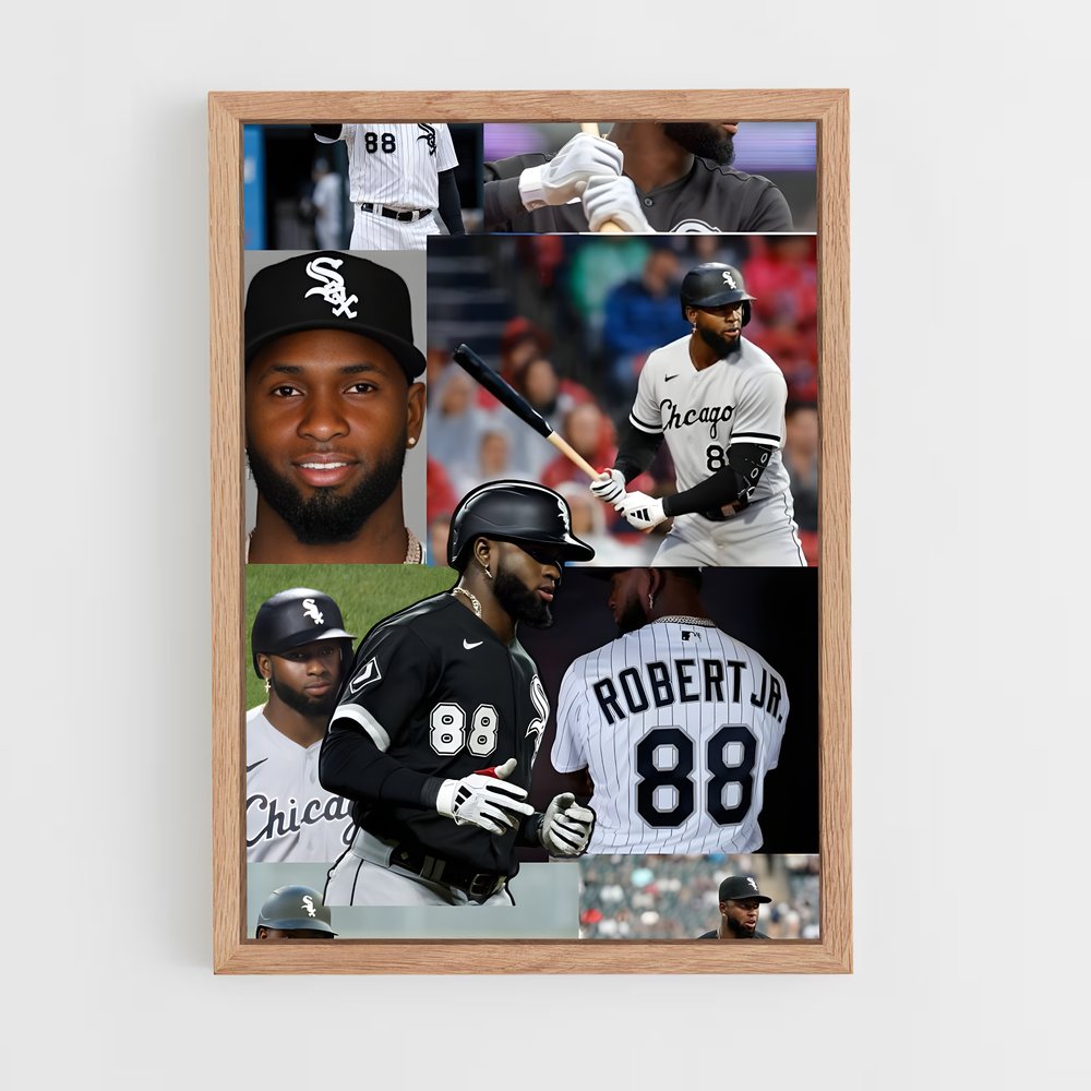 ap-luis robert-1 cadre Bois clair